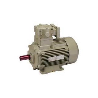 hmm-flame-proof-motors-25810