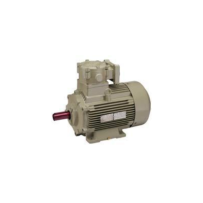 hmm-flame-proof-motors-25810