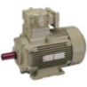 HMM Flame Proof Motors