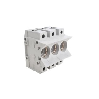 Siemens 63A Bottle Fuse Holder, 3P Pole for D02 Fuse, Panel Mount, 400V AC 5SG5701