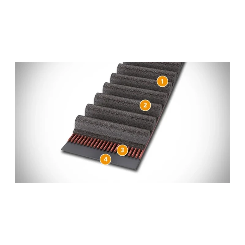 Contitech Rubber Timing Belt 319 Teeth 1.6 m Length 9 mm Width HTD 1595-5M-09