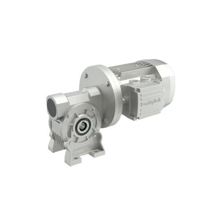 vf-w-series-universal-worm-gearbox-geared-motors-25887