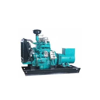 esb-rbg35-35kva-biogas-generator-set-25931