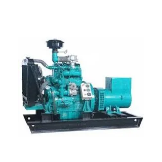 esb-rbg35-35kva-biogas-generator-set-25931