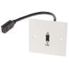 RS PRO Female 1 Gang Wall Mounted HDMI Plastic Faceplate Screwed 665-9633