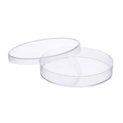 glass-petri-dish-22735