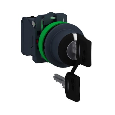 Schneider Electric IP66 IP67 IP69 IP69K Key Switch DPST 3A 3-Way 455-Key XB5FG33