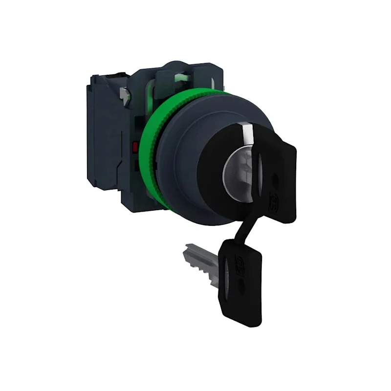 Schneider Electric IP66 IP67 IP69 IP69K Key Switch DPST 3A 3-Way 455-Key XB5FG33