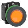 Schneider Electric XB5 Series Illuminated Push Button Switch, Spring Return, Panel Mount, 30 mm Cutout, SPDT XB5FW35B5