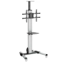 StarTech.com Portable TV Stand with Adjustable Extension Arm VESA 200x200 to 600x400 Load 40kg Height 2.14m STNDMTV70