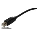 StarTech.com USB 2.0 Male USB Type A to Male USB B Cable 500 mm USB2HAB50CM