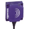 Telemecanique Sensors Block Inductive Proximity Sensor 2-Wire 264V 300mA 25 mm Detection XS8C1A1MAL2