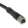 Telemecanique Sensors Female 3 Way Straight to Unterminated 3 Way Free End Sensor Actuator Cable, 5m XZCP0566L5