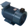 Inverter Duty Motors