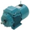 Industrial Brake Motor