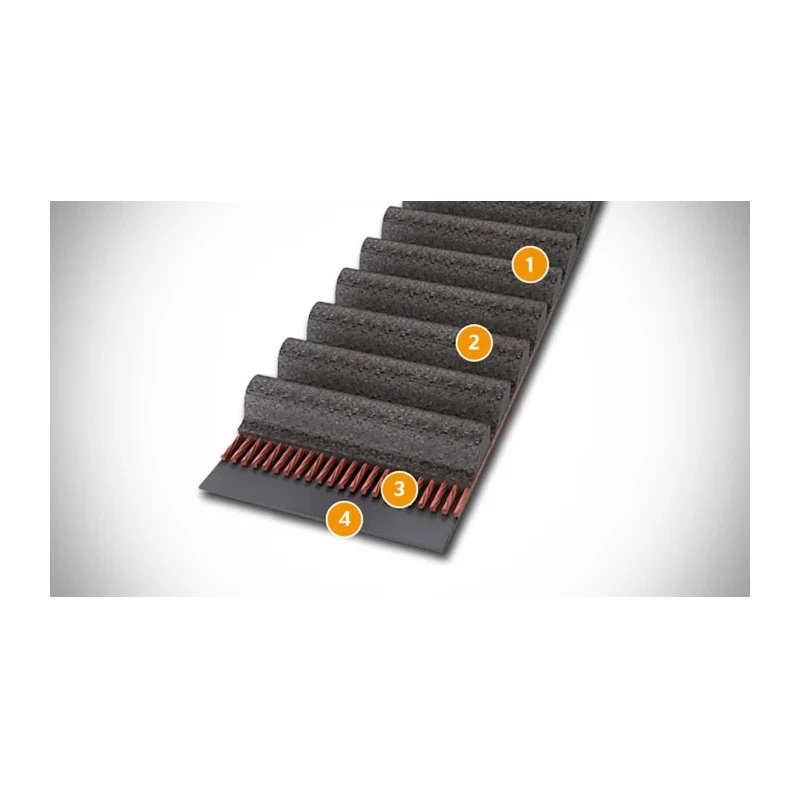 Contitech Heavy-Duty Timing Belt 225 Teeth, 1.8 m Length, 30 mm Width, Glass Cord, Polyamide Fabric 1800 8M 30 CXP