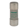 Mersen 100A AM Ceramic Cartridge Fuse, 22 x 58 mm, 500V AC, Super Fast Acting, Ceramic Body Y217693 / FR22AM50V100