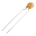 Vishay Single Layer Ceramic Capacitor 100 pF 1kV dc ±10% S3N Dielectric, Through Hole Radial 125 °C F101K25S3NN63J5R