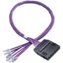 HellermannTyton Connectivity Cassette to Plug Cable Assembly Cat6 RJ45 6 Port UTP Shielding 20m RN06UC6-CAPLXX-20.0M