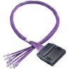 HellermannTyton Connectivity Cassette to Plug Cable Assembly Cat6 RJ45 6 Port UTP Shielding 20m RN06UC6-CAPLXX-20.0M