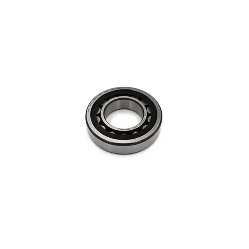 INA Cylindrical Roller Bearing 45 mm Inside Diameter 85 mm Outside Diameter NJ209-E-XL-TVP2