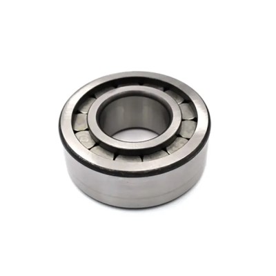 INA 30 mm Inside Diameter Roller Bearing, 72 mm Outside Diameter SL192306