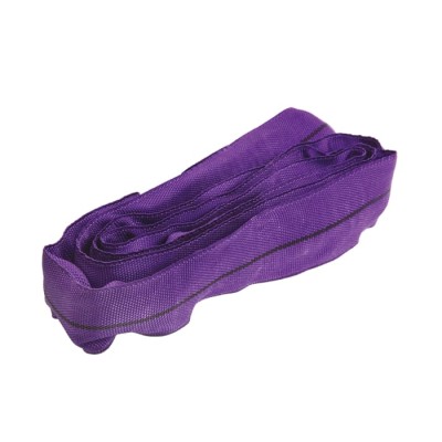 RS PRO 2 m Purple Round Lifting Sling 1 t Safe Working Load Polyester Endless Sling 729-3048
