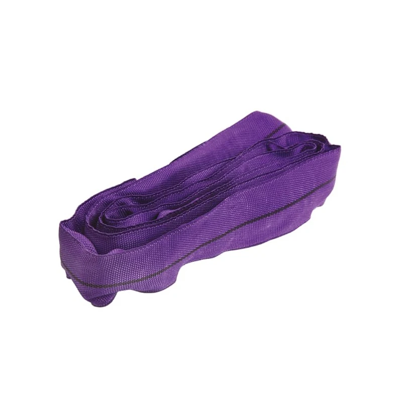 RS PRO 2 m Purple Round Lifting Sling 1 t Safe Working Load Polyester Endless Sling 729-3048