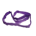 RS PRO 2 m Purple Round Lifting Sling 1 t Safe Working Load Polyester Endless Sling 729-3048