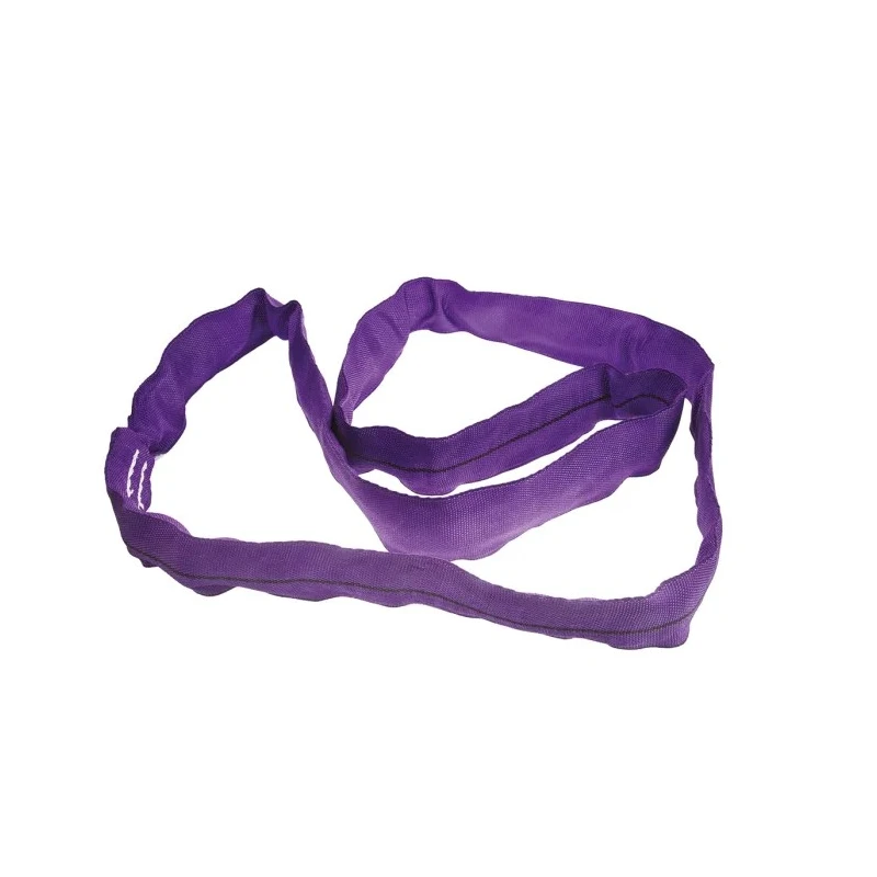RS PRO 2 m Purple Round Lifting Sling 1 t Safe Working Load Polyester Endless Sling 729-3048