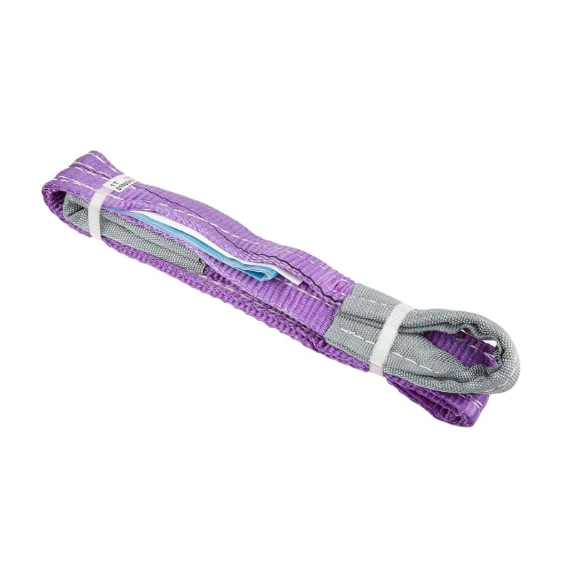RS PRO 1 m Purple Lifting Sling Webbing, 1 t 729-3010