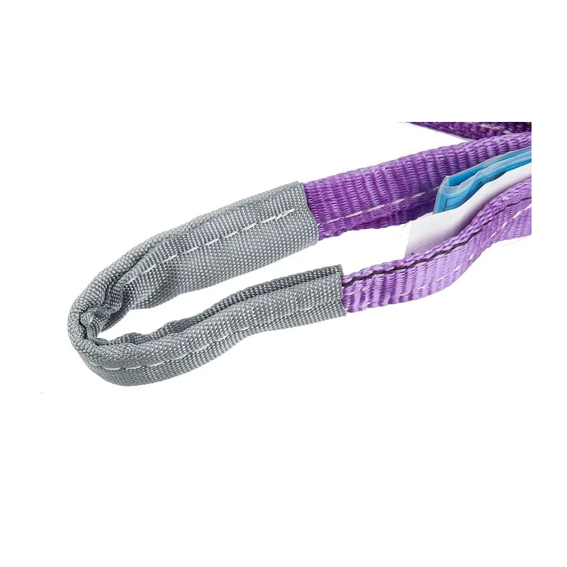 RS PRO 1 m Purple Lifting Sling Webbing, 1 t 729-3010