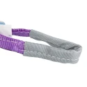 RS PRO 1 m Purple Lifting Sling Webbing, 1 t 729-3010