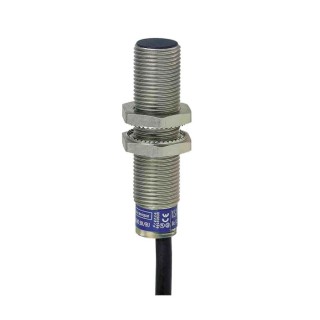 Telemecanique Sensors Threaded Barrel Inductive Proximity Sensor M12 x 1 2-Wire 264V ac XS612B1MAL10