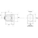 Euro-Locks a Lowe & Fletcher group Company Camlock Panel-to-Tongue 20 mm, Chrome Finish, Key Unlock 1336032
