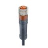 Lumberg Automation Female 3 Way M8 to Unterminated Sensor Actuator Cable 1.85 m 11733 RKMV 3-418/1,85 M