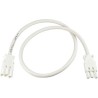 Wieland GESIS 7-Pin GST18I3 to 3-Pin GST18I3 Power Cord 2 m White 250V 20A GST18I3