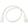 Wieland GESIS 14-Pin GST18I3 to 3-Pin GST18I3 Power Cord 3 m, 250V 20A Polyvinyl Chloride Jacket GST18I3