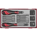 Teng Tools Screwdriver Bit Set 38 Pieces Hex, Phillips, Torx, Slotted 25 mm Drive 6.35 mm TTMDQ38