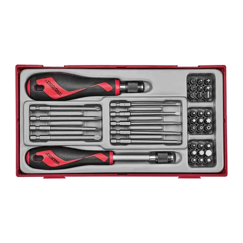 Teng Tools Screwdriver Bit Set 38 Pieces Hex, Phillips, Torx, Slotted 25 mm Drive 6.35 mm TTMDQ38