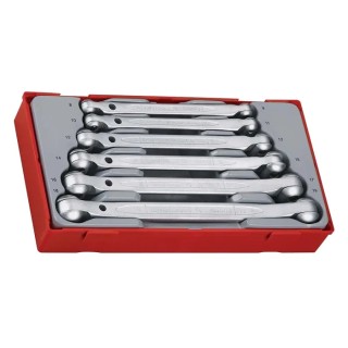 Teng Tools 6-Piece Chrome Vanadium Steel Spanner Set 8 To 19 mm TT6506