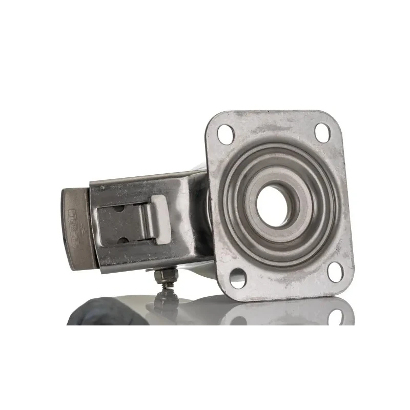 Tente Braked Swivel Castor, 200 kg Load Capacity, 100 mm Polyamide Wheel, Stainless Steel Frame 8477UOO100P62