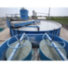 Effluent Treatment Plant For Dairy Industry 500 KLD