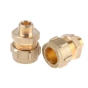 RS PRO Brass Compression Fitting Compression Coupler Male G 1/4 in 203-8653