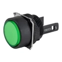 Omron Illuminated Push Button Switch Panel Mount 16 mm Cutout DPDT IP65 30V 250V AC A165L-TGA-24D-2