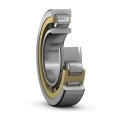 SKF Cylindrical Roller Bearing , 190 mm Inside Diameter, 290 mm Outside Diameter, 46 mm Race Width, Brass Cage NU 1038 ML/C3