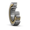SKF Cylindrical Roller Bearing , 190 mm Inside Diameter, 290 mm Outside Diameter, 46 mm Race Width, Brass Cage NU 1038 ML/C3