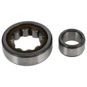 SKF Cylindrical Roller Bearing , 20 mm Inside Diameter, 52 mm Outside Diameter, Shielded, Non-Metallic Cage NU 304 ECP