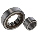 SKF Cylindrical Roller Bearing , 20 mm Inside Diameter, 52 mm Outside Diameter, Shielded, Non-Metallic Cage NU 304 ECP