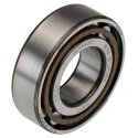SKF Cylindrical Roller Bearing 25 mm Inside Diameter 52 mm Outside Diameter Shielded N 205 ECP